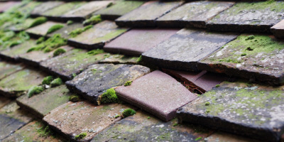 Wyboston roof repair costs